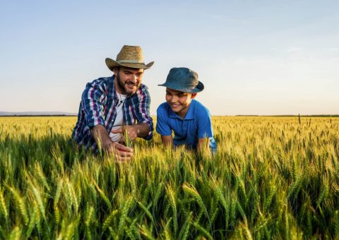 Unidade de Negócio Ademicon Alagoas participa da 74ª Expoagro